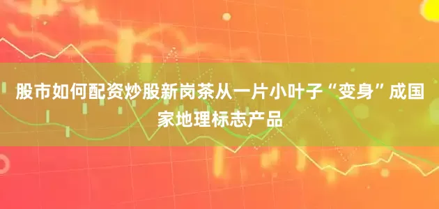 股市如何配资炒股新岗茶从一片小叶子“变身”成国家地理标志产品