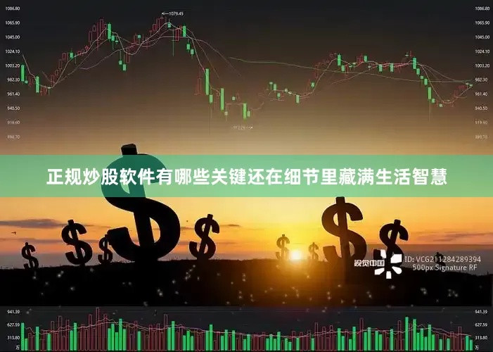 正规炒股软件有哪些关键还在细节里藏满生活智慧
