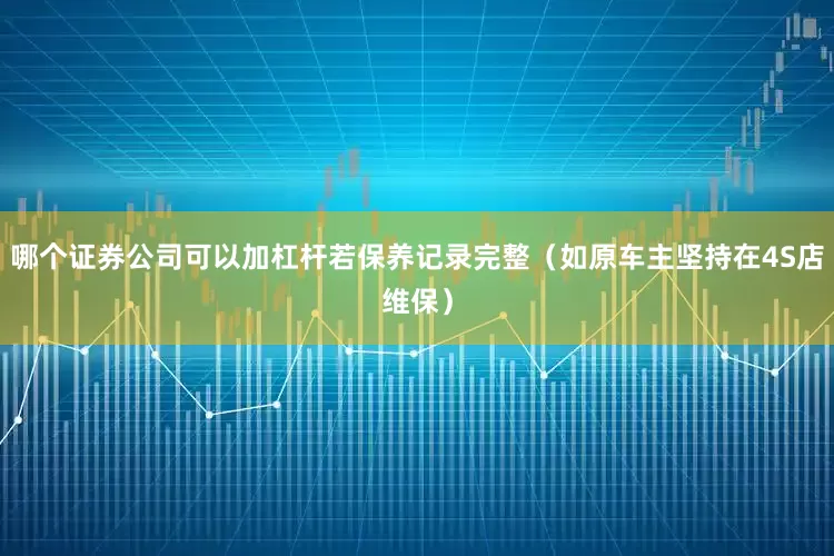 哪个证券公司可以加杠杆若保养记录完整（如原车主坚持在4S店维保）