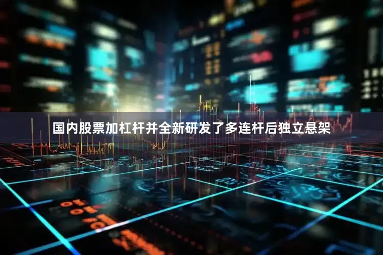 国内股票加杠杆并全新研发了多连杆后独立悬架