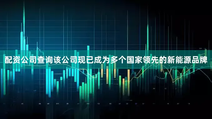 配资公司查询该公司现已成为多个国家领先的新能源品牌
