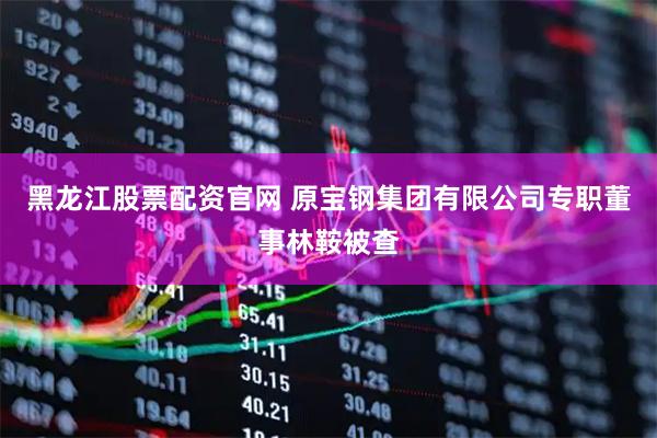 黑龙江股票配资官网 原宝钢集团有限公司专职董事林鞍被查