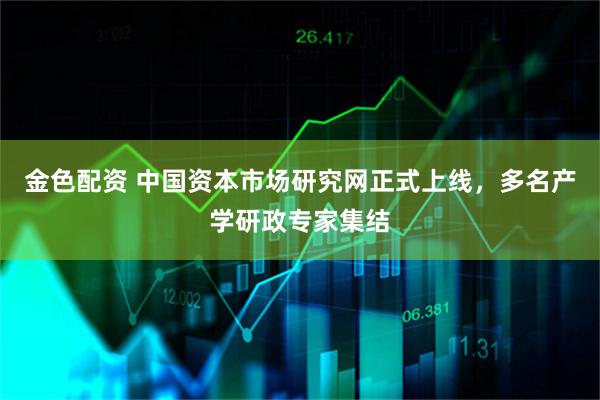 金色配资 中国资本市场研究网正式上线，多名产学研政专家集结