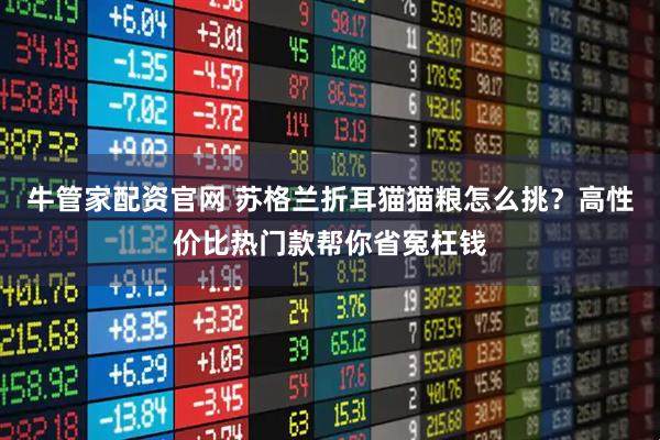 牛管家配资官网 苏格兰折耳猫猫粮怎么挑？高性价比热门款帮你省冤枉钱