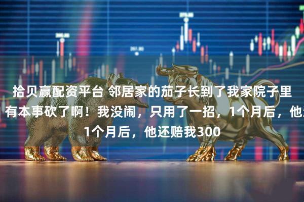 拾贝赢配资平台 邻居家的茄子长到了我家院子里，他嚣张：有本事砍了啊！我没闹，只用了一招，1个月后，他还赔我300