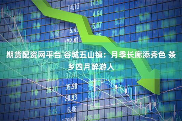 期货配资网平台 谷城五山镇：月季长廊添秀色 茶乡四月醉游人